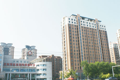   Ժ
